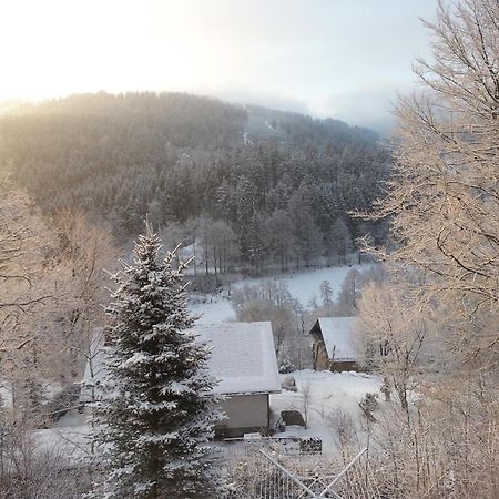 Haus Vor Den Eichen Fuer Familien Villa Willingen  Buitenkant foto