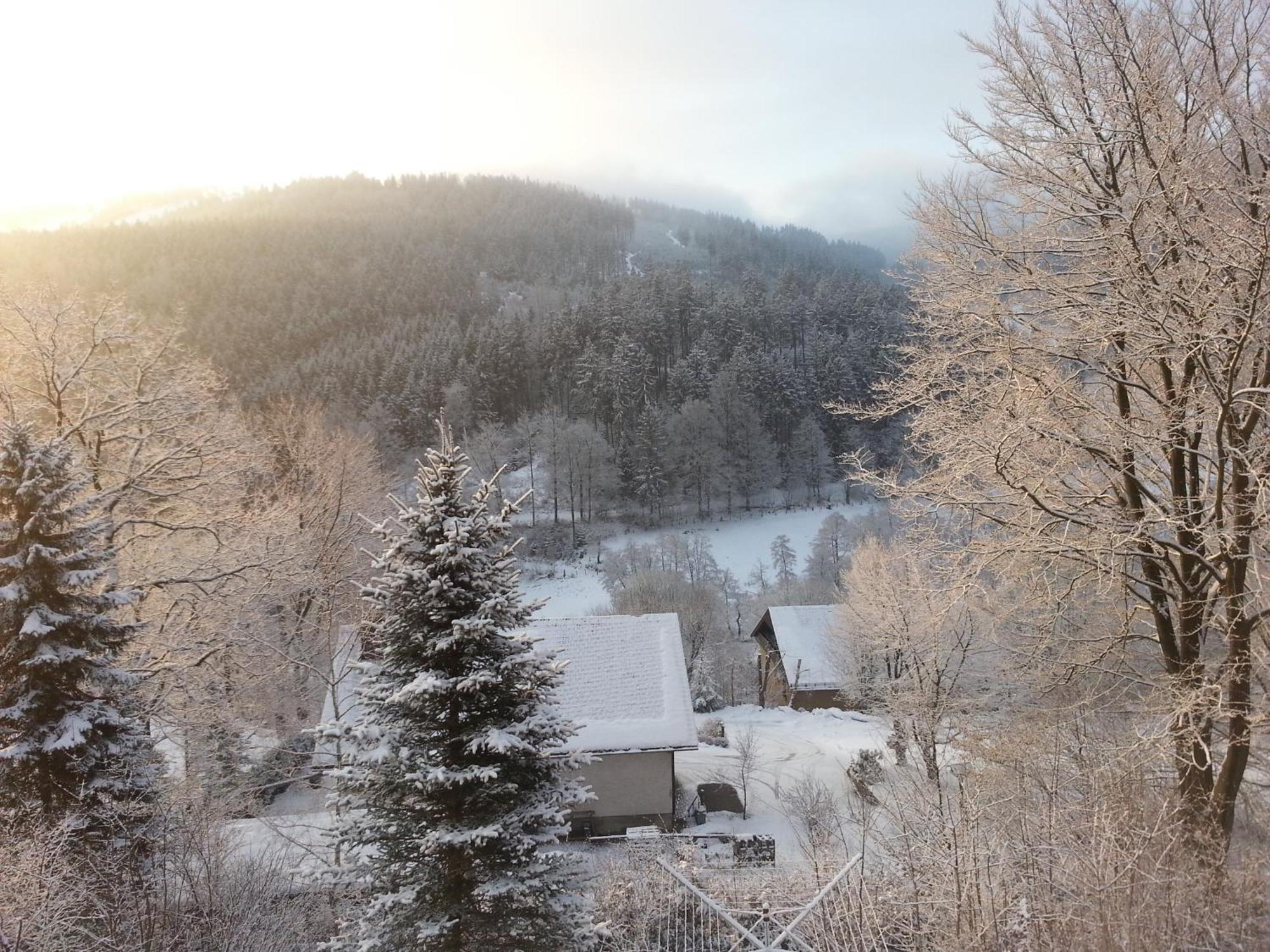 Haus Vor Den Eichen Fuer Familien Villa Willingen  Buitenkant foto